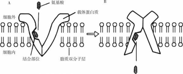 扩散过程和水合过程（扩散过程和水合过程的例子）-图2