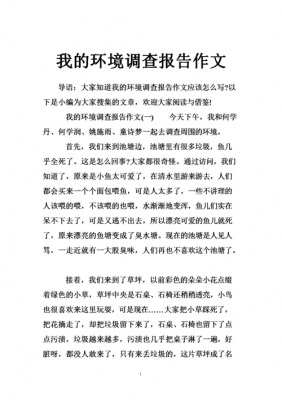 调查环境过程怎么写（调查环境作文）-图3