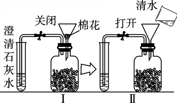 植物生产过程（植物生产过程中哪些情况应促进呼吸）-图2