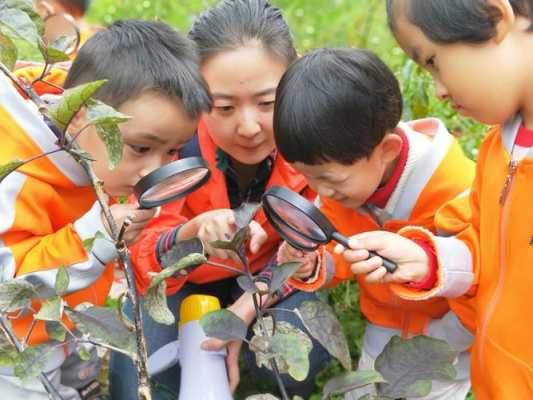 教学过程观察叶（观察教学的环节）-图2