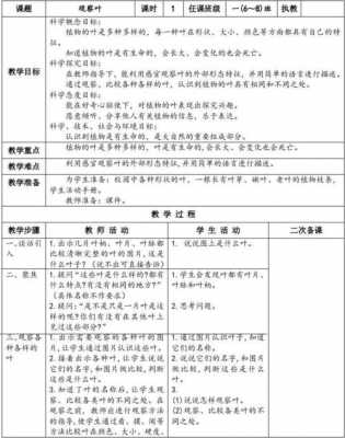 教学过程观察叶（观察教学的环节）-图3