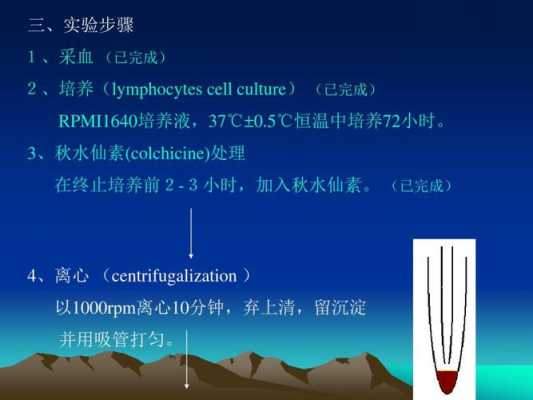 染色体的制备过程（染色体制备过程中的注意事项）-图2