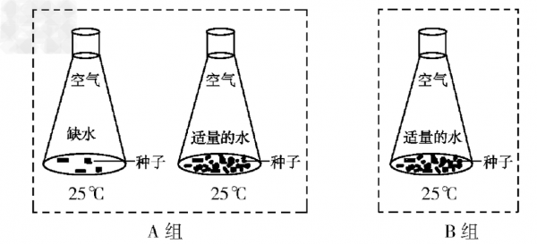 设计水分探究过程（水分的测定原理和实验步骤）-图3