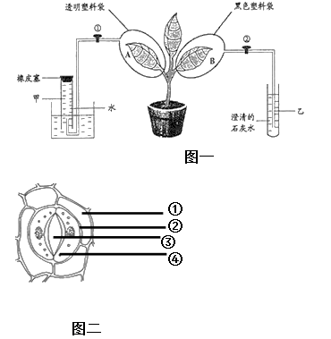 设计水分探究过程（水分的测定原理和实验步骤）-图2