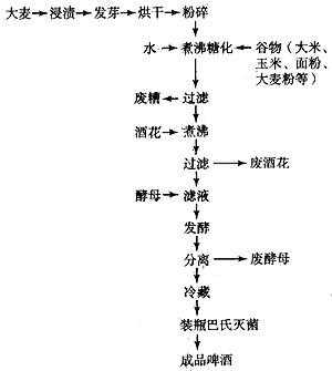 微生物发酵过程（微生物发酵过程三阶段）-图2