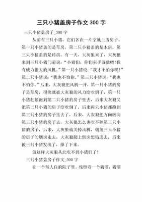 建房子过程作文（盖房子的过程的作文）-图1