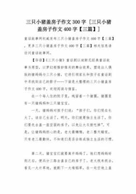 建房子过程作文（盖房子的过程的作文）-图3