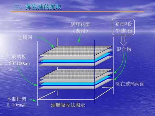 挥发油的提取过程（挥发油提取过程中应该注意哪些影响因素）-图3