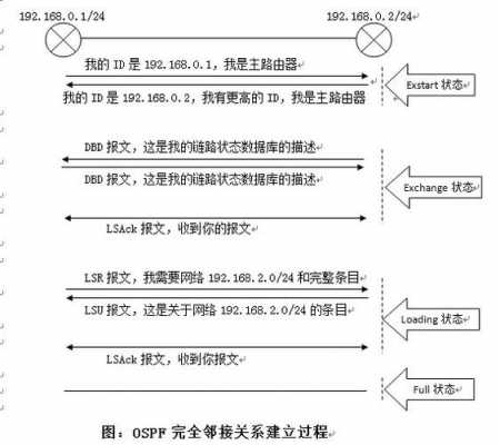 ospf协议过程（ospf协议视频教程）-图2