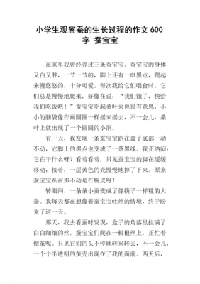 蚕的生命过程作文（蚕的生命过程是什么）-图2