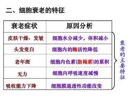 老化过程具有那些特点（老化过程具有那些特点和作用）-图3