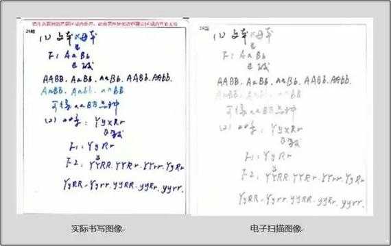 高考电脑扫卷过程（怎么看高考卷子的电脑扫描图）-图2