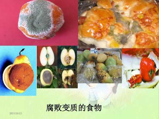 食品腐烂的过程（食品腐烂的现象和原因是什么）-图2