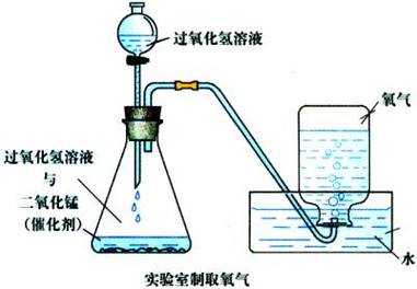 用水提取氧气过程（用水制取氧气）-图3