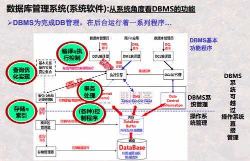 dbutils执行存储过程（存储过程中执行ddl语句）-图2