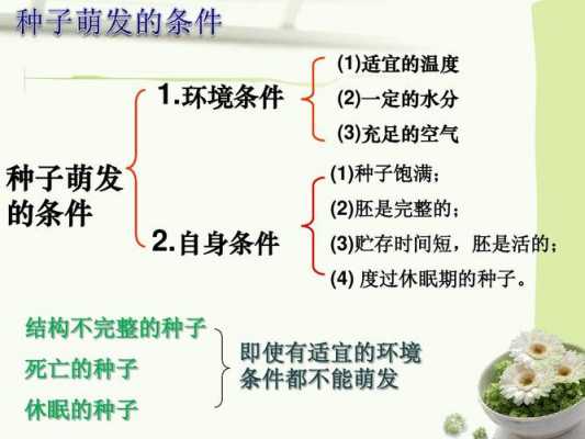 水分在种子萌发过程中的作用的简单介绍-图3