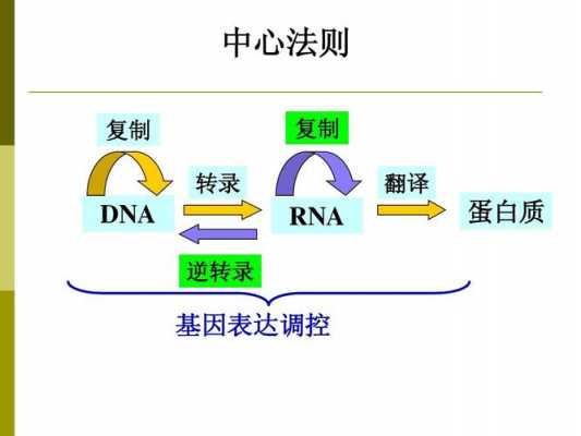 逆转译过程（逆译法例子）-图2