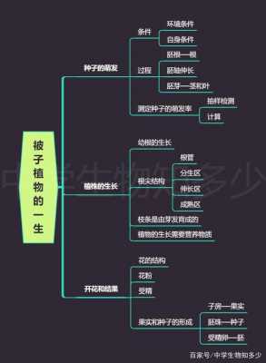 植物进化过程图片（植物进化的过程思维导图）-图3