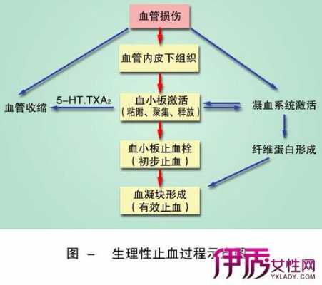 止血过程信息传导（简述止血的生理过程）-图3