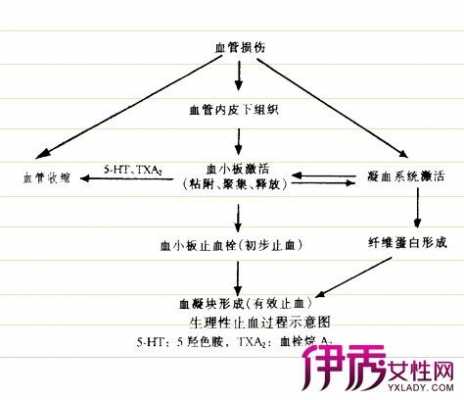 止血过程信息传导（简述止血的生理过程）-图2