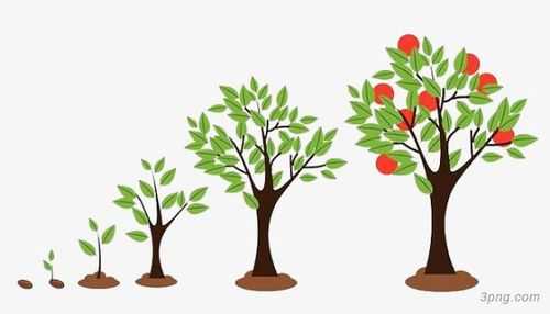 树苗成长大树过程（树苗成长大树过程动画）-图1