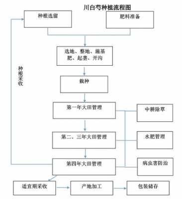 种植与加工过程（种植作业流程）-图2