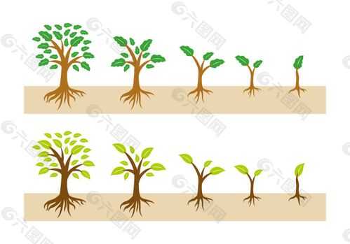 画出大树生长的过程（画出大树生长的过程图片）-图1