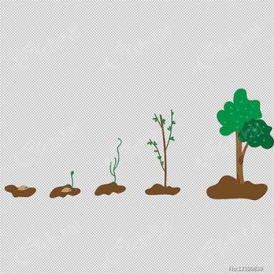 画出大树生长的过程（画出大树生长的过程图片）-图2