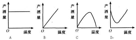 酵母菌发酵过程（酵母菌发酵过程中数量变化）-图1