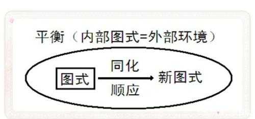 皮亚杰图式过程（皮亚杰 图式）-图1