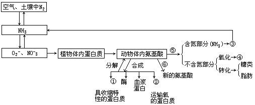 蛋白还原过程（蛋白还原过程是什么）-图2