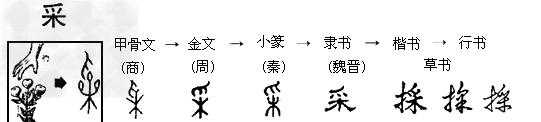 见字的演变过程（见字演变过程七个阶段）-图3