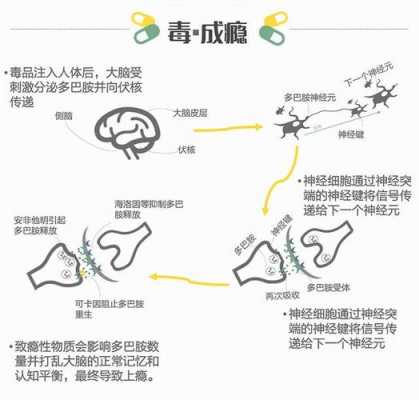 包含制作海洛因的过程的词条-图2