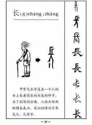 到字演变过程（到字演变过程图片）-图3