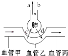 试述气体交换过程（简述气体交换过程）-图2