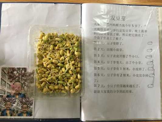 种豆芽生长的过程（种豆芽记录豆芽生长）-图3