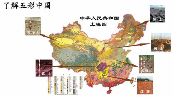 土壤发育过程（土壤发育过程中最活跃的因素）-图1