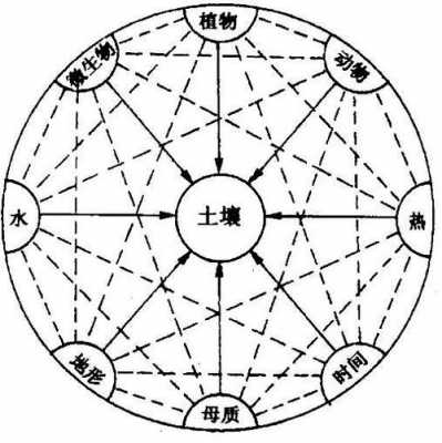 土壤发育过程（土壤发育过程中最活跃的因素）-图2