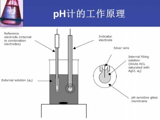 PHT测量过程（ph测量方法注意事项）-图2