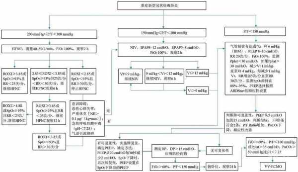 新冠状病毒肺炎治疗过程（新冠状病毒肺炎治疗过程图）-图2