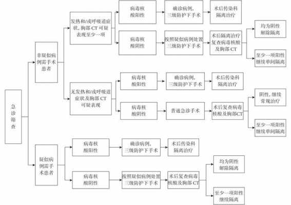 新冠状病毒肺炎治疗过程（新冠状病毒肺炎治疗过程图）-图3