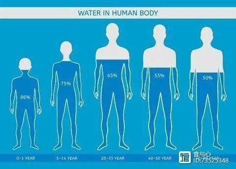 水在人体的过程图片（水在人体内的分布情况）-图2