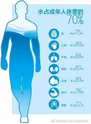 水在人体的过程图片（水在人体内的分布情况）-图3