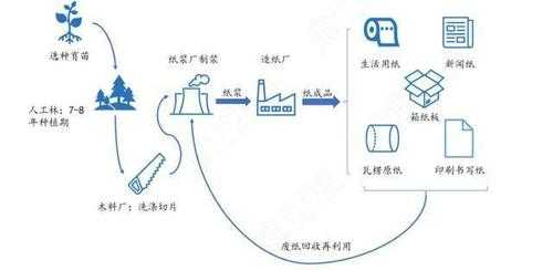 木头造纸原浆过程（原木木浆造纸的优点）-图1