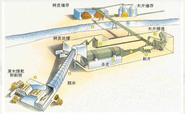 木头造纸原浆过程（原木木浆造纸的优点）-图2