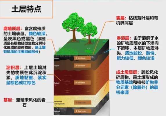 土壤形成成土过程（土壤的行成过程）-图1