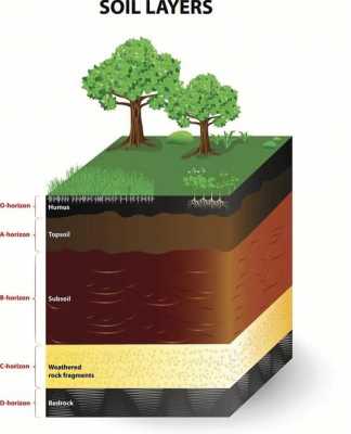 土壤形成成土过程（土壤的行成过程）-图3