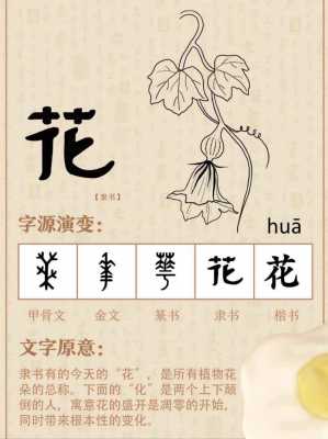 过程汉字（花的演变过程汉字）-图2