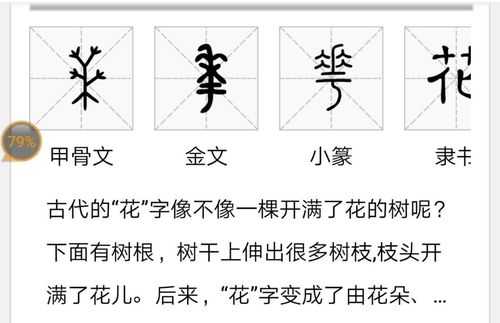 过程汉字（花的演变过程汉字）-图1