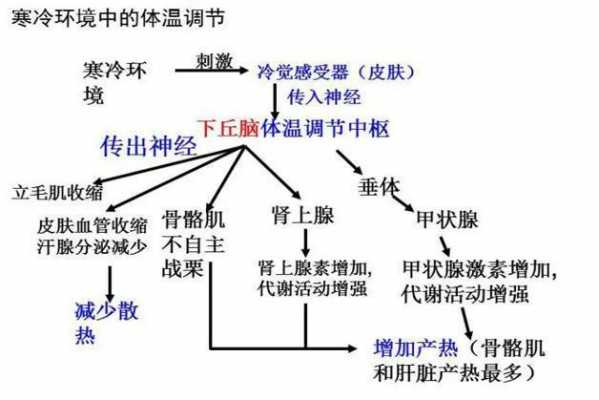 恒温循环过程w（恒温过程g）-图2